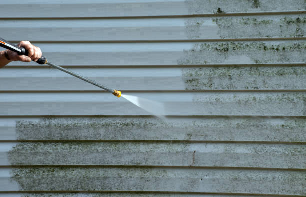 Best Fence Pressure Washing  in Braham, MN