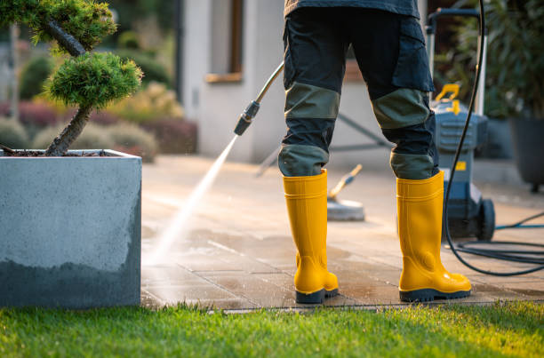 Best Sidewalk Pressure Washing  in Braham, MN